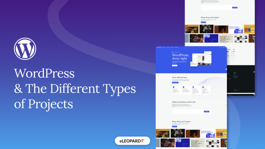 WordPress and the Different Types of Projects