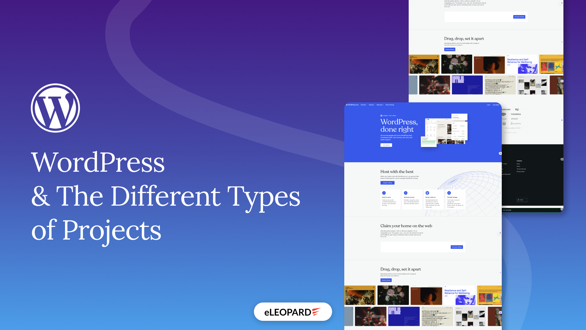 WordPress and the Different Types of Projects