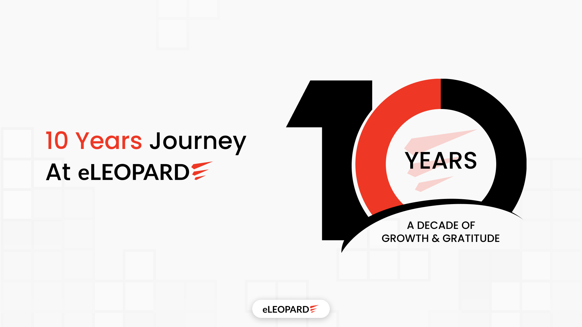 10 years Journey at eLEOPARD